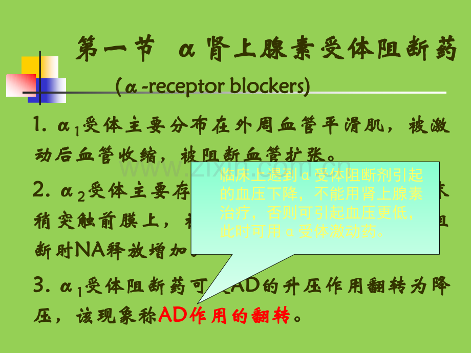 肾上腺素受体阻断药ppt课件.ppt_第3页