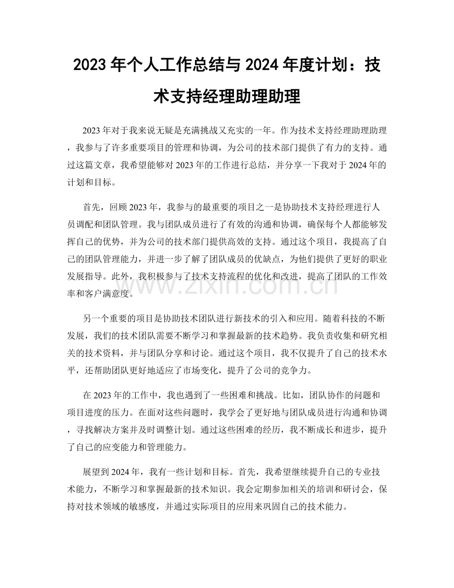 2023年个人工作总结与2024年度计划：技术支持经理助理助理.docx_第1页