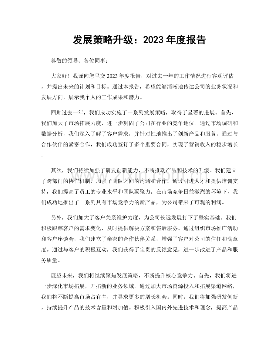 发展策略升级：2023年度报告.docx_第1页