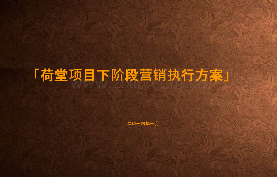 荷堂项目下阶段营销执行方案.ppt_第1页