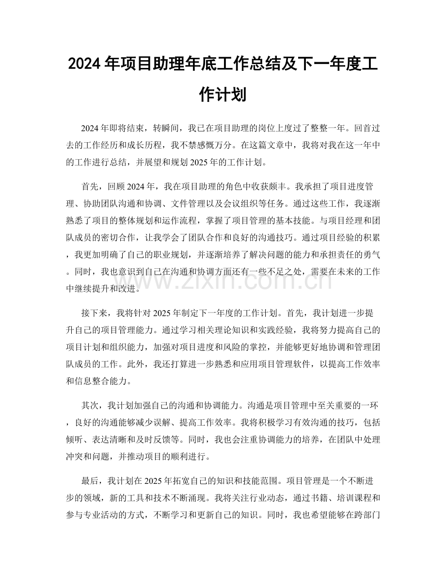 2024年项目助理年底工作总结及下一年度工作计划.docx_第1页