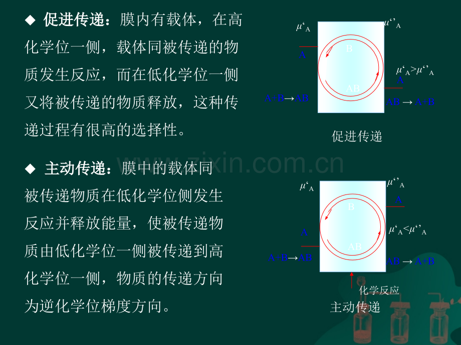 膜的定义和分类.ppt_第3页