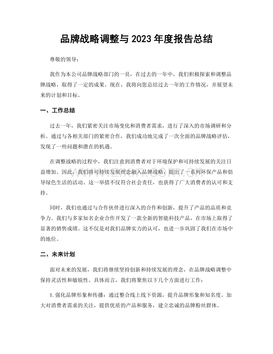 品牌战略调整与2023年度报告总结.docx_第1页