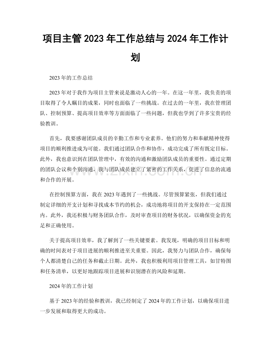 项目主管2023年工作总结与2024年工作计划.docx_第1页