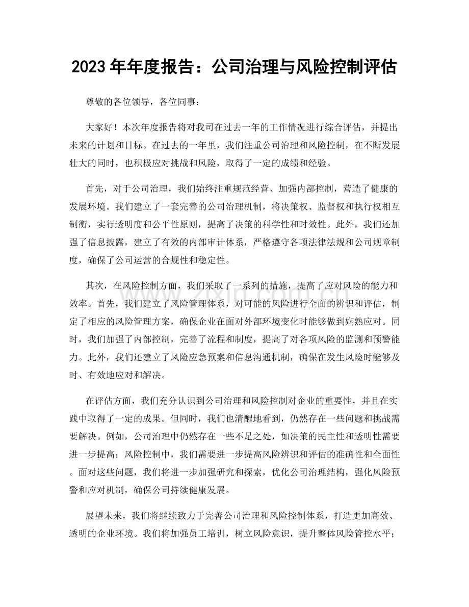 2023年年度报告：公司治理与风险控制评估.docx_第1页