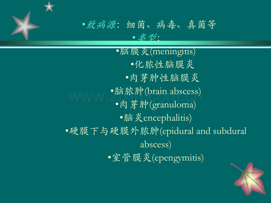 神经系统炎症.ppt_第2页