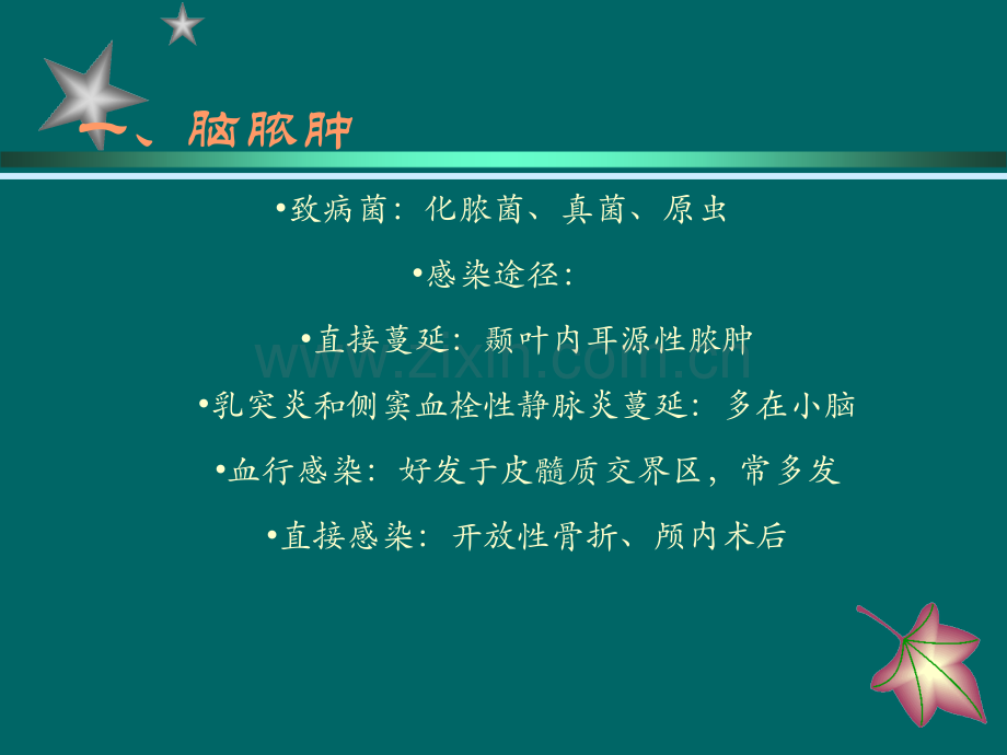 神经系统炎症.ppt_第3页