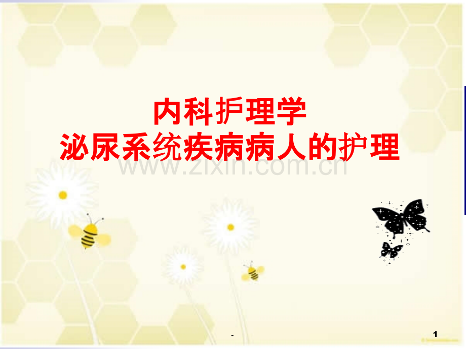 泌尿系统护理.ppt_第1页