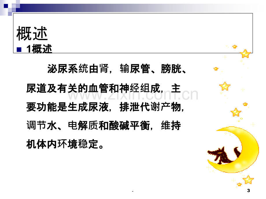 泌尿系统护理.ppt_第3页