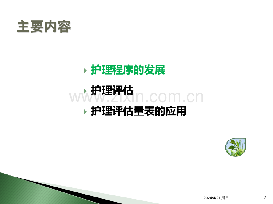 护理评估表的应用.ppt_第2页