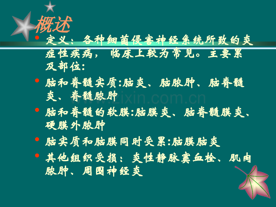 神经系统细菌感染.ppt_第2页