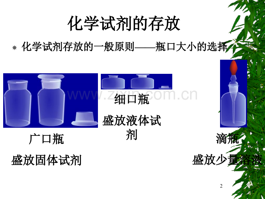 化学实验基本操作.pptx_第2页