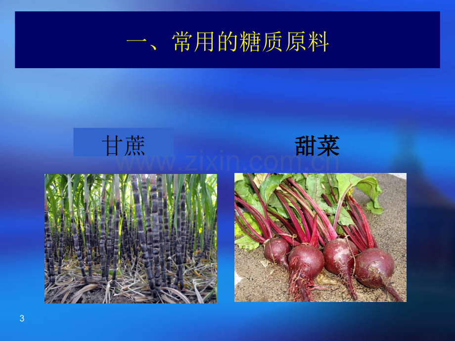 糖蜜酒精生产技术.ppt_第3页