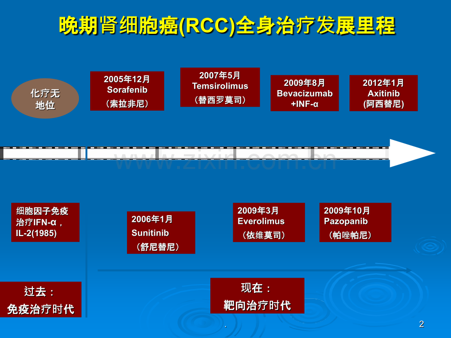 肾癌靶向治疗.ppt_第2页