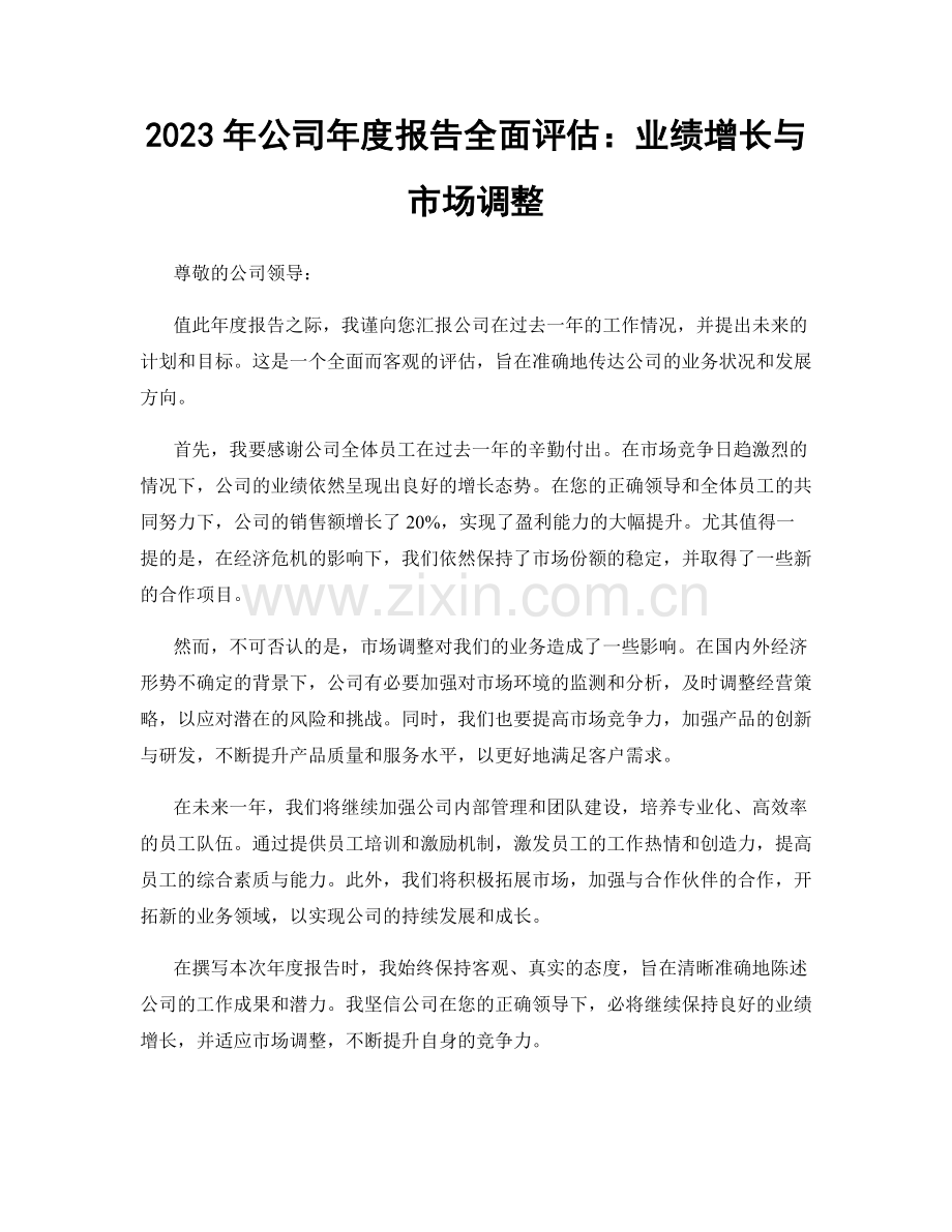 2023年公司年度报告全面评估：业绩增长与市场调整.docx_第1页