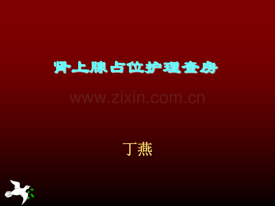 肾上腺占位护理查房.ppt_第1页