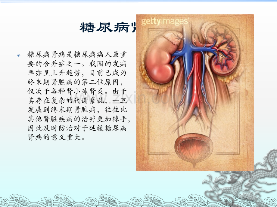 糖尿病肾病-(3).ppt_第3页