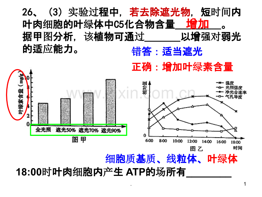 激素调节的实例.ppt_第1页