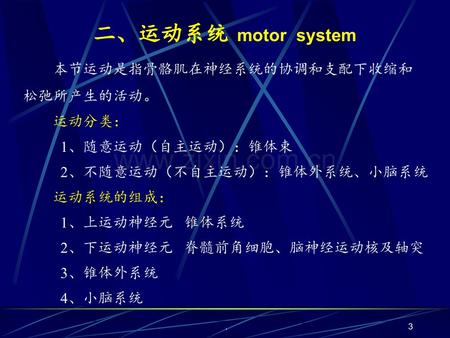 神经系统损害的定位诊断(2).ppt_第3页