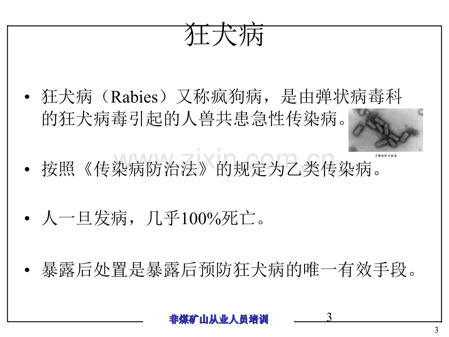 狂犬病防控知识培训课件.ppt_第3页