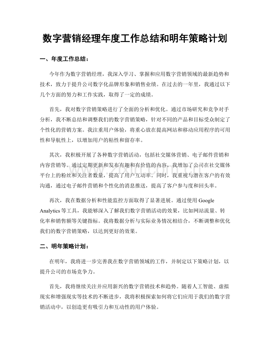 数字营销经理年度工作总结和明年策略计划.docx_第1页