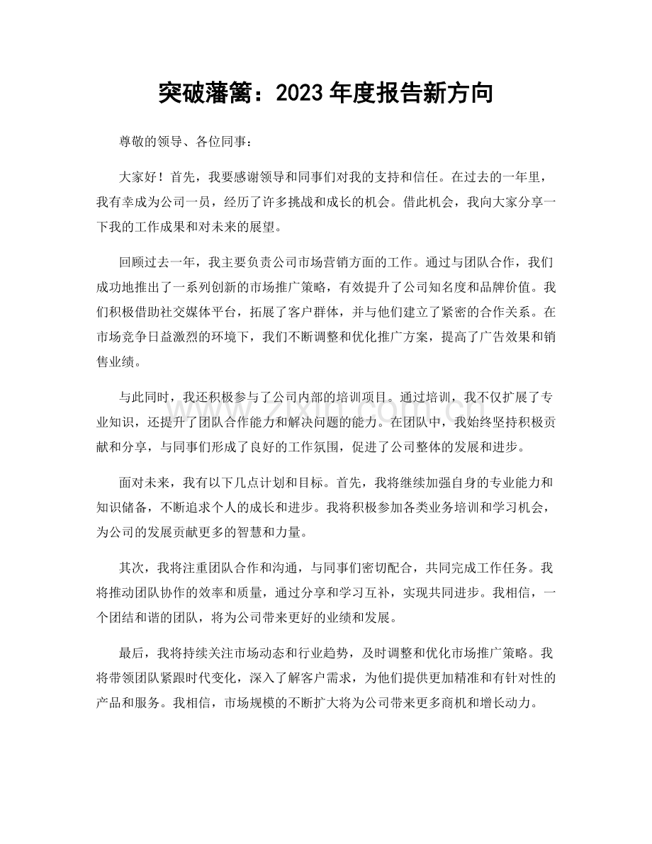 突破藩篱：2023年度报告新方向.docx_第1页