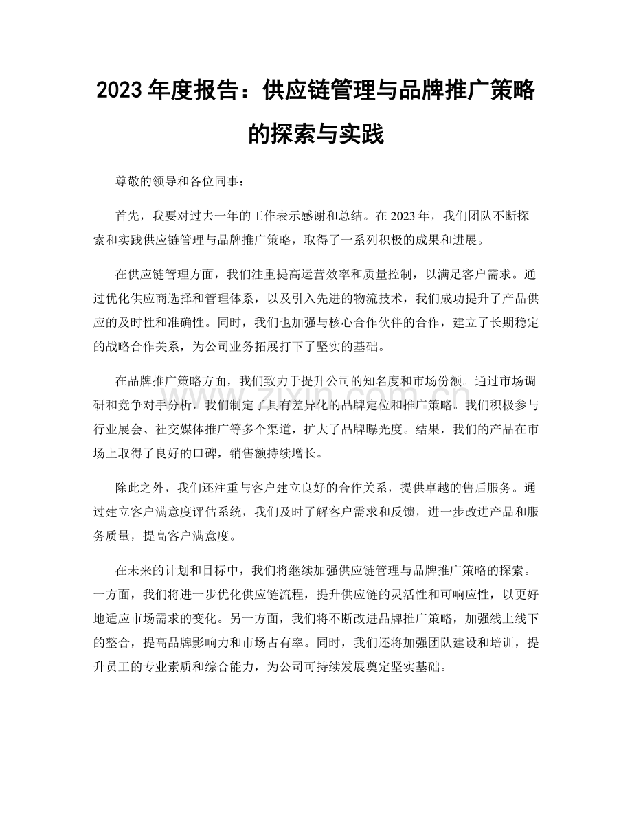 2023年度报告：供应链管理与品牌推广策略的探索与实践.docx_第1页