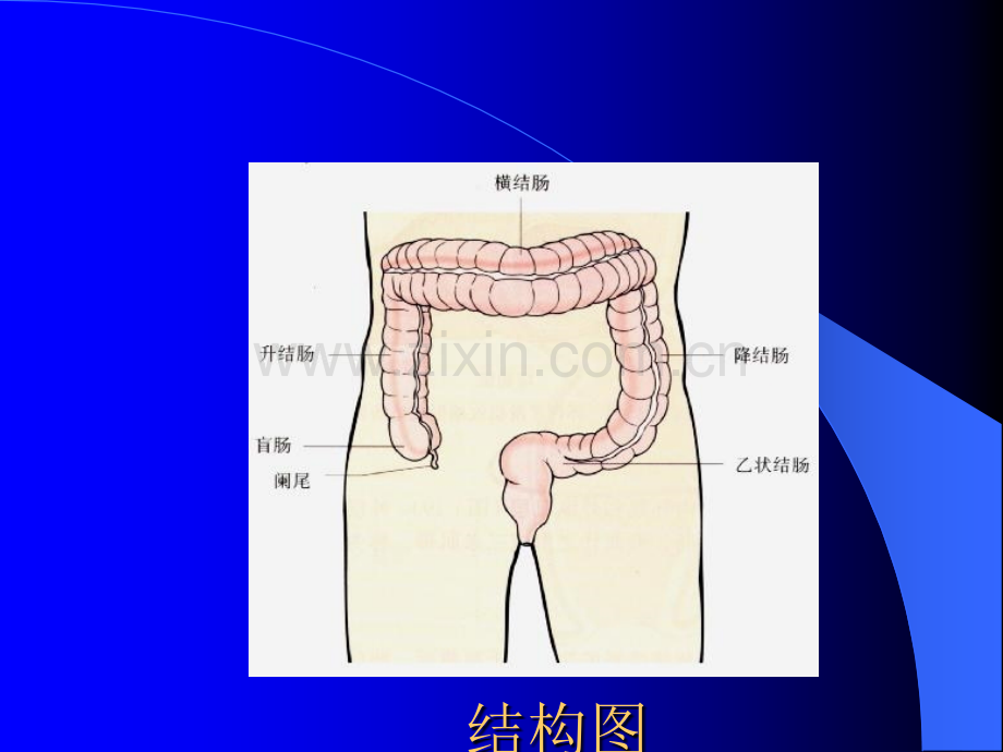 结直肠癌护理.ppt_第3页