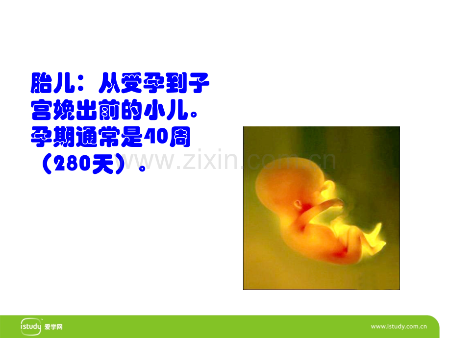 胎儿的生理心理发展.ppt_第3页