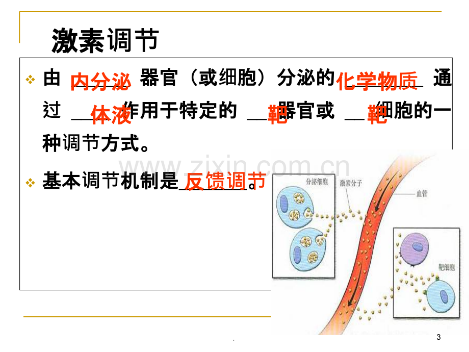 神经调节和体液调节的关系.ppt_第3页