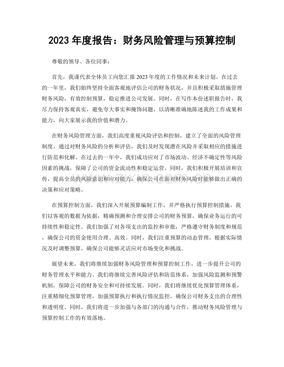 2023年度报告：财务风险管理与预算控制.docx_第1页