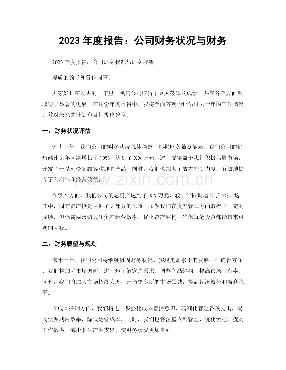 2023年度报告：公司财务状况与财务.docx_第1页