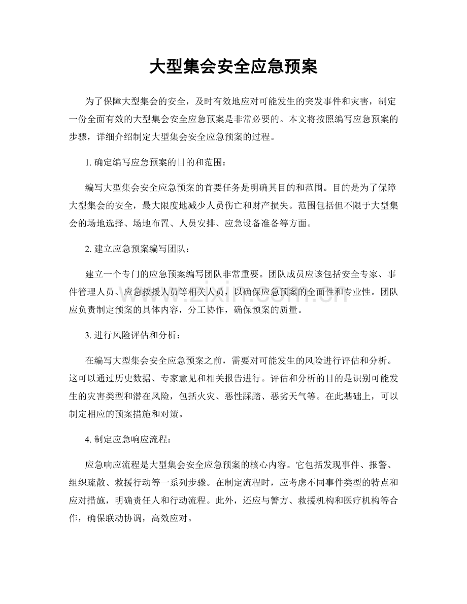 大型集会安全应急预案.docx_第1页