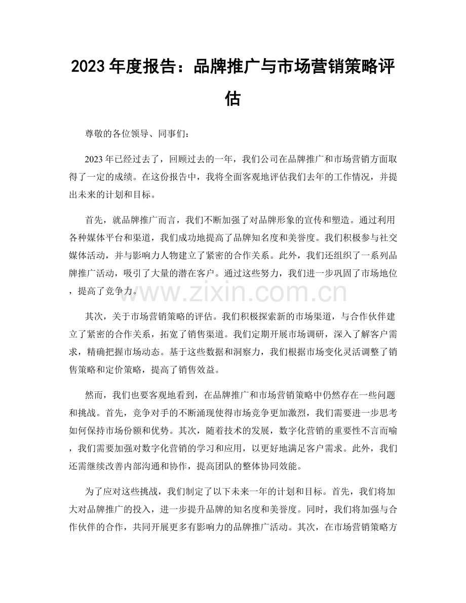 2023年度报告：品牌推广与市场营销策略评估.docx_第1页