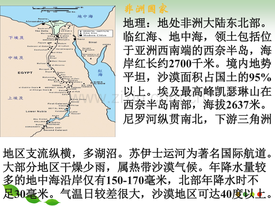 人民版历史选修一专题六上课穆罕默德阿里改革.pptx_第3页