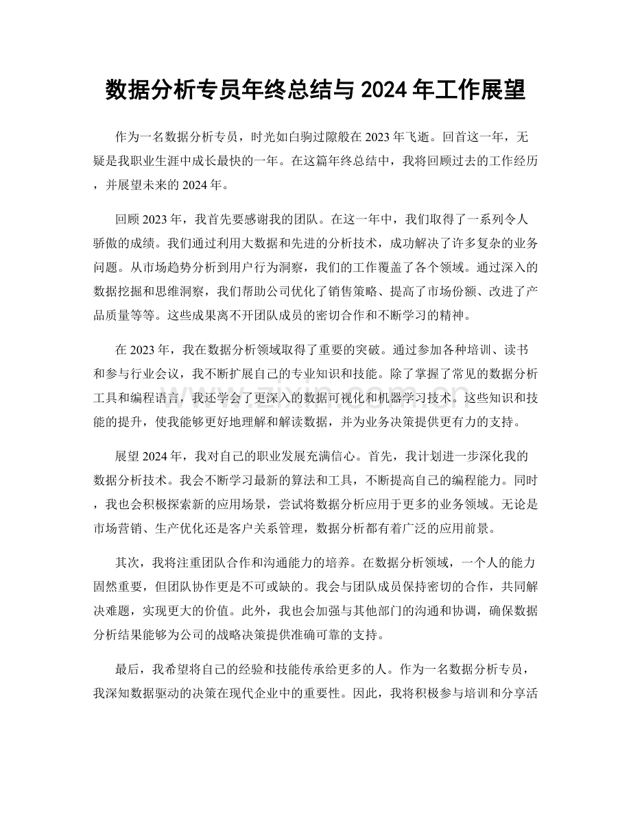 数据分析专员年终总结与2024年工作展望.docx_第1页