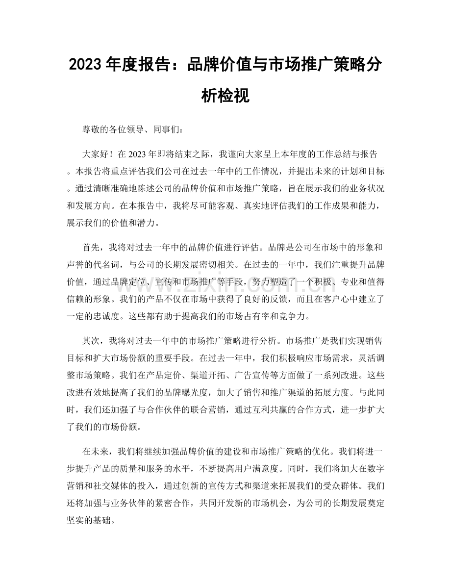 2023年度报告：品牌价值与市场推广策略分析检视.docx_第1页