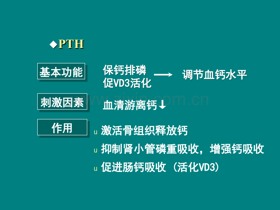 甲状旁腺功能亢进症.ppt_第3页