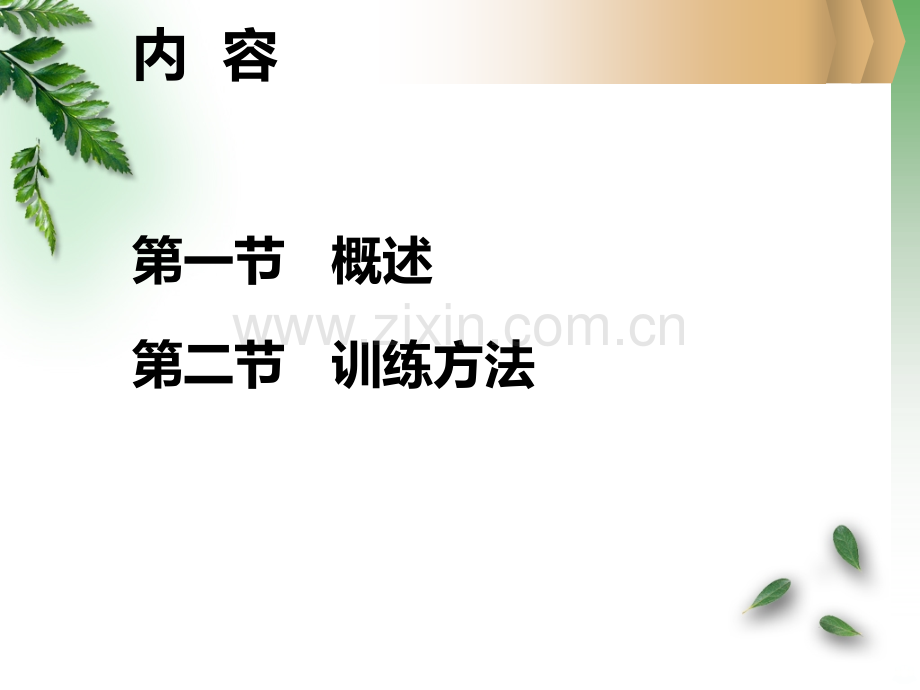 轮椅训练.ppt_第2页