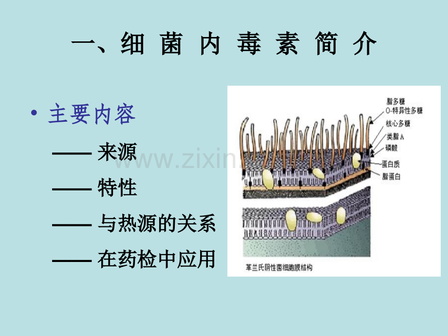 浅析细菌内毒素检测方法及常见问题.ppt_第3页