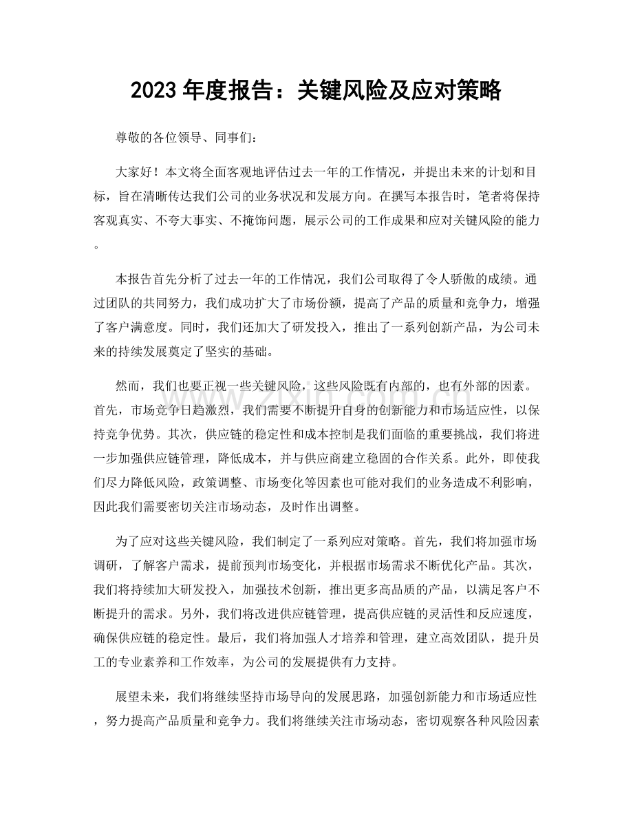 2023年度报告：关键风险及应对策略.docx_第1页