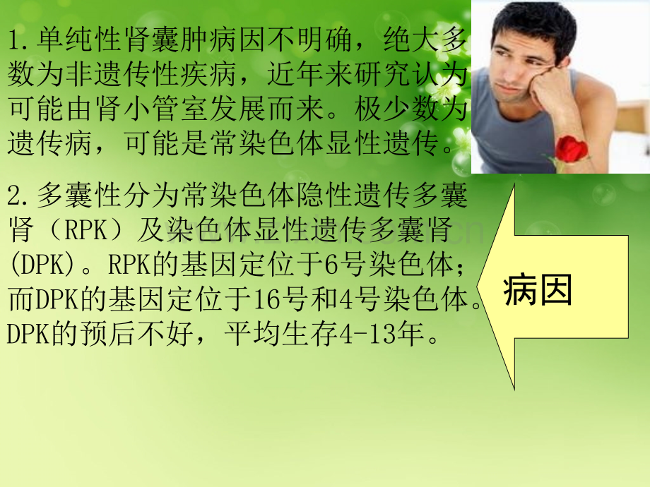 肾囊肿去顶减压术病人的护理.ppt_第3页