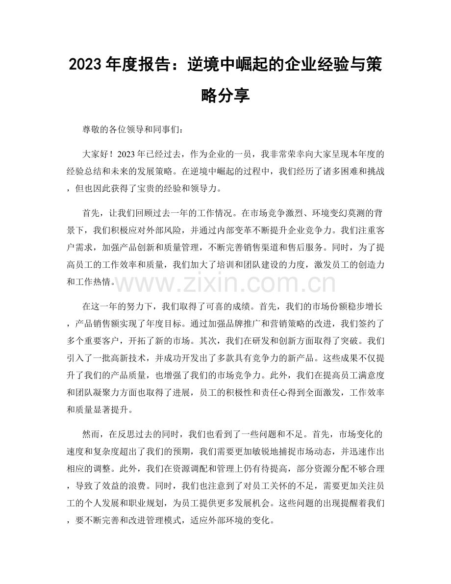 2023年度报告：逆境中崛起的企业经验与策略分享.docx_第1页