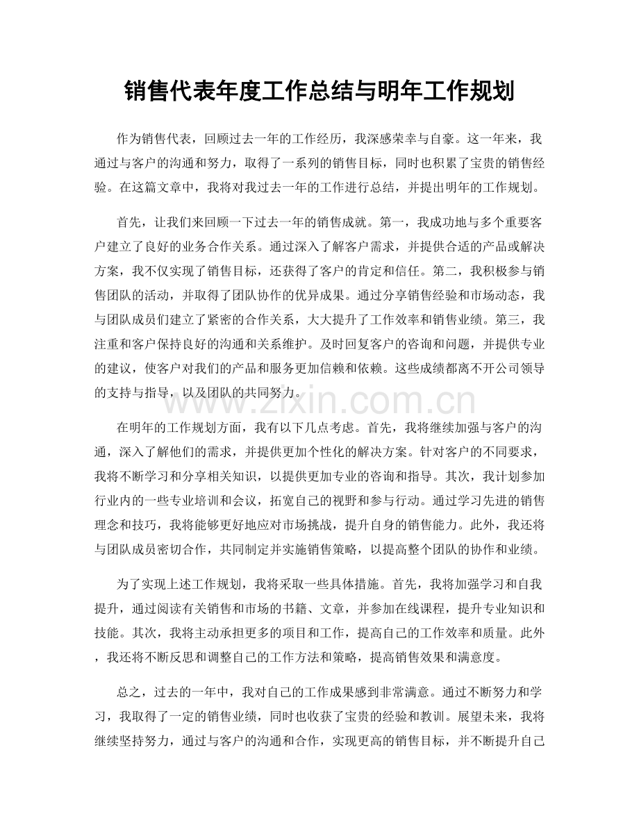 销售代表年度工作总结与明年工作规划.docx_第1页