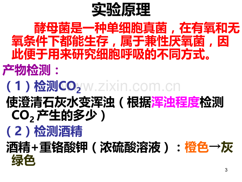 探究酵母菌细胞呼吸方式实验改进方案.ppt_第3页