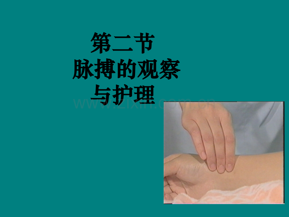 生命体征的评估及护理脉搏的评估及护理.ppt_第2页