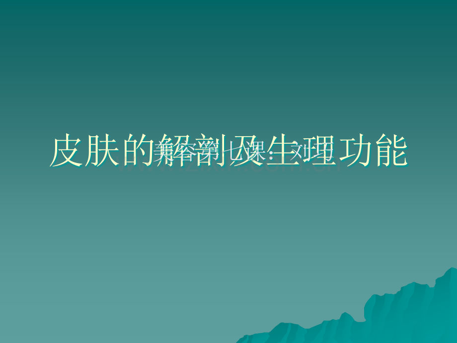 皮肤的解剖及生理.ppt_第1页