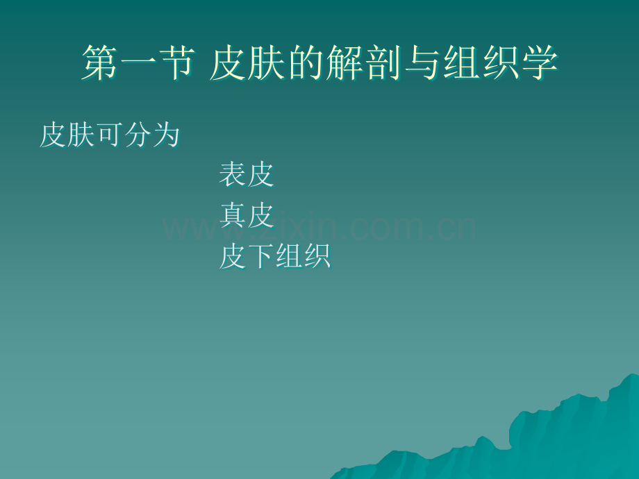 皮肤的解剖及生理.ppt_第2页