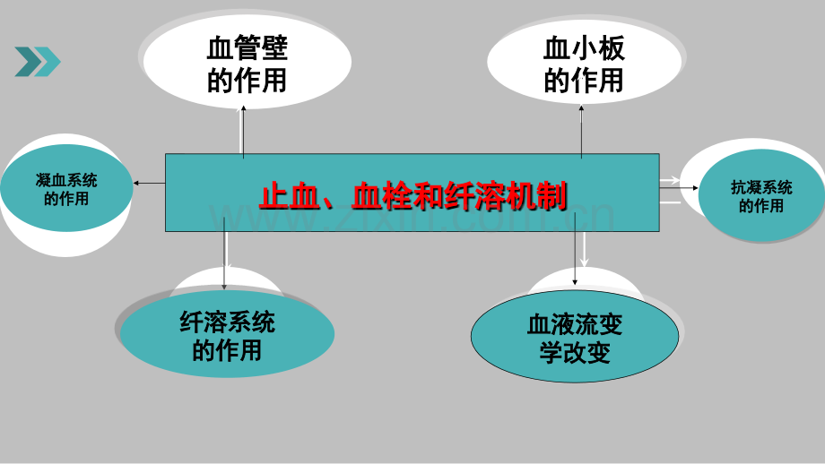 检验科三基培训.ppt_第2页