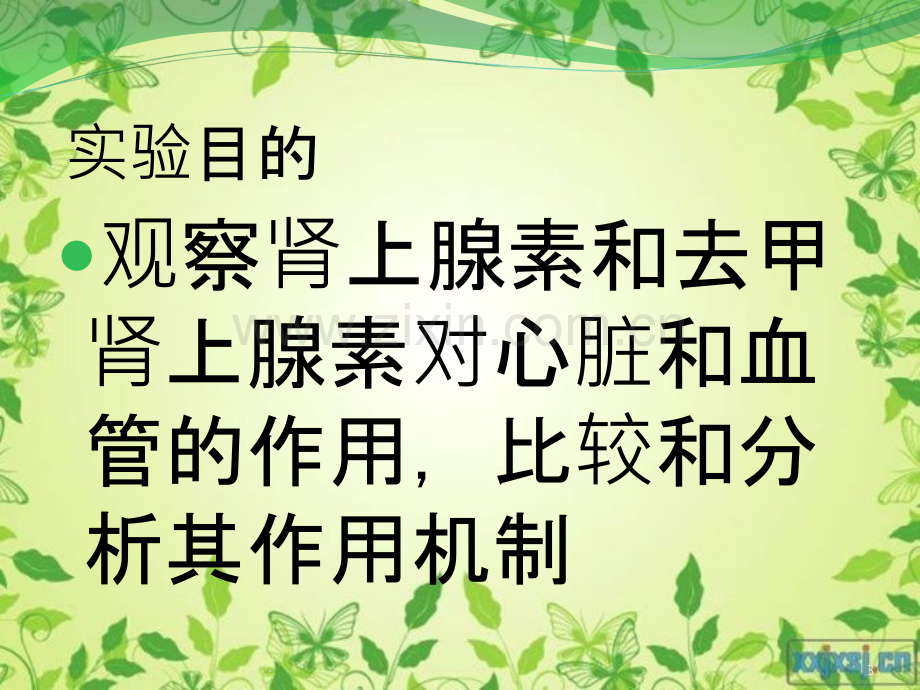 肾上腺素和去甲肾上腺素对心脏和血管作用的比较.ppt_第3页